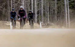 OcieplanadamskabluzarowerowaRogelliIMPRESSIIzdługimrękawem,purpurowo-różowa