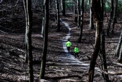 DamskawiatrówkadobieganiaRogelliCORE,odblaskowożółta