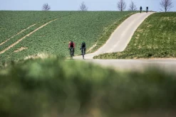 KurtkasoftshellRogelliESSENTIALzpanelamioddychającymi,zielona